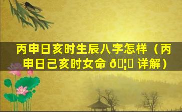 丙申日亥时生辰八字怎样（丙申日己亥时女命 🦄 详解）